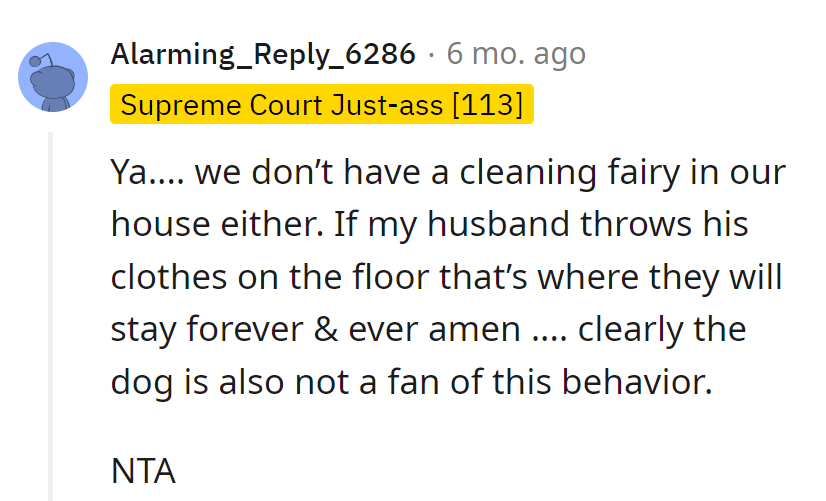 NTA. No cleaning fairy in this house. Hubby's clothes on the floor? Dog disapproves too, in her own artistic way.