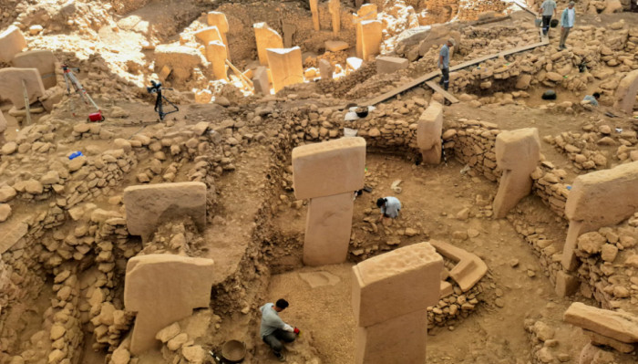 Museum Collections Can Still Reveal Major Discoveries