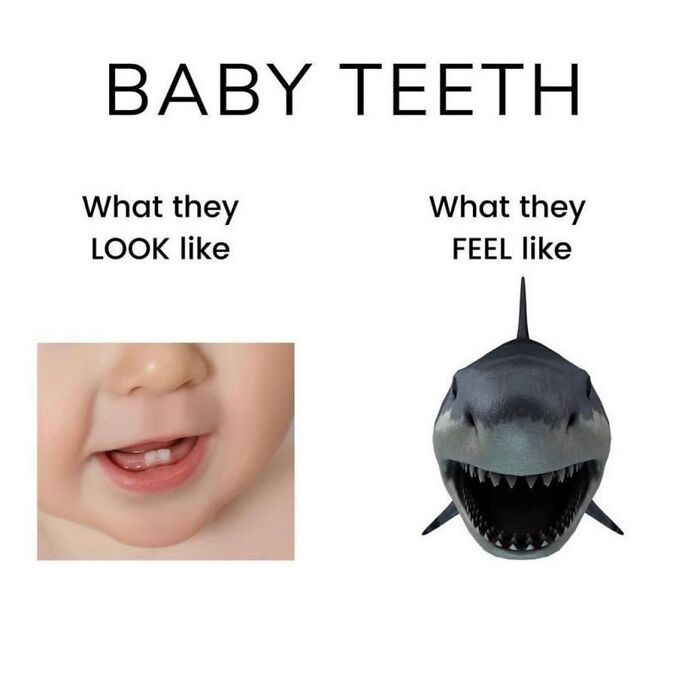 13. “They smile sweetly… right before taking a bite out of your soul (and finger).”