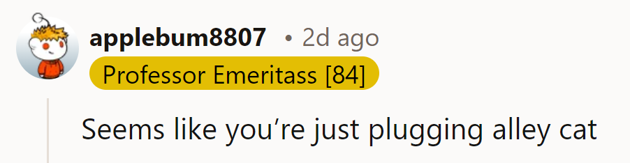 It seems they’re just alley-catting around with that plan.