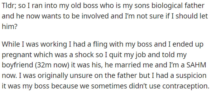 OP's Former Boss Is Her Son's Biological Father