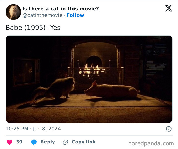 Movie list continues with titles, including Hausu and Hocus Pocus 2