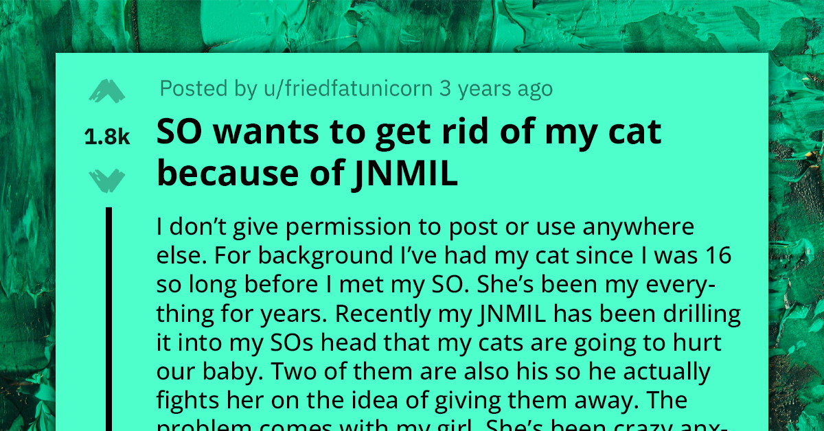 Expectant Mom Faces Heartbreaking Ultimatum From Husband — Train Your Cat To Use Its Litter Box Before Our Baby Arrives Or Lose It Forever