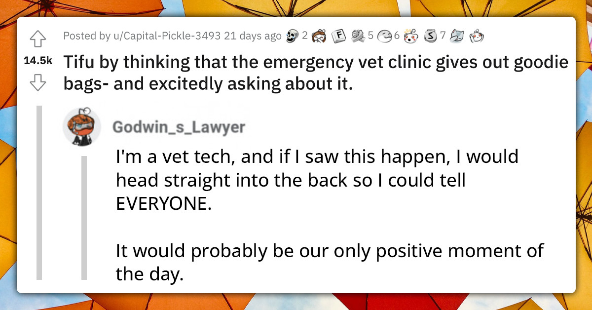 Woman Makes Horrific Mistake While At The Emergency Veterinary Clinic, Mistakes Bags With Pet Remains For "Goodies Bags"