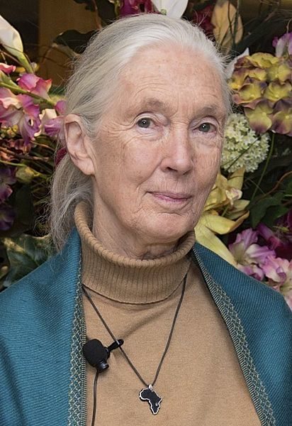 12. Jane Goodall