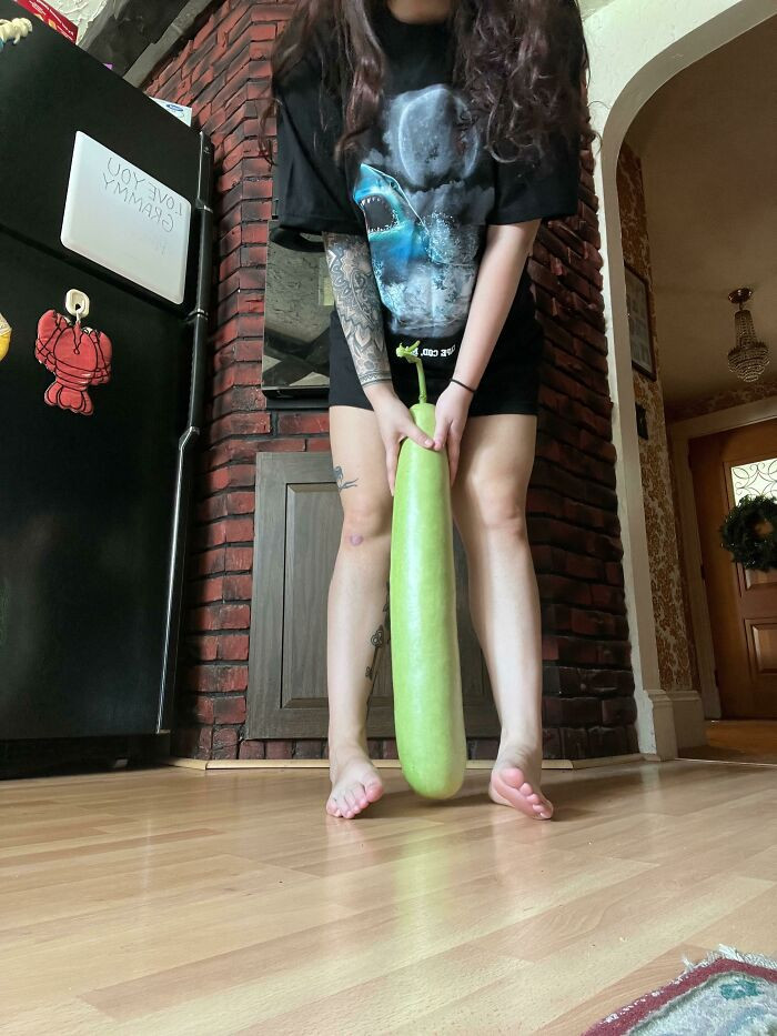 24. My Sweet Kind Neighbors Who Dont Speak English Very Well Gave Me This... Squash? Because It Was Growing On My Side Of The Fence. Any Help?