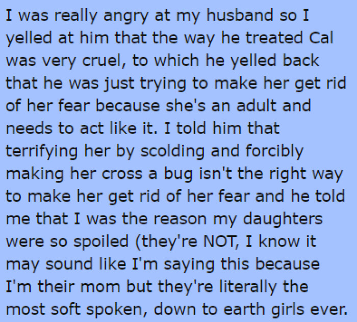 OP was furious about what her husband did, and they had a big argument