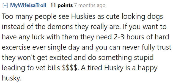 Don't let the cuteness of Huskies fool you.