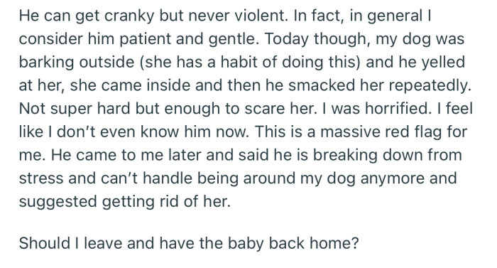 OP Might Have Endured Her Partner Being Irresponsible, but She Is Now Rethinking Their Relationship After She Saw Him Hit Her Dog