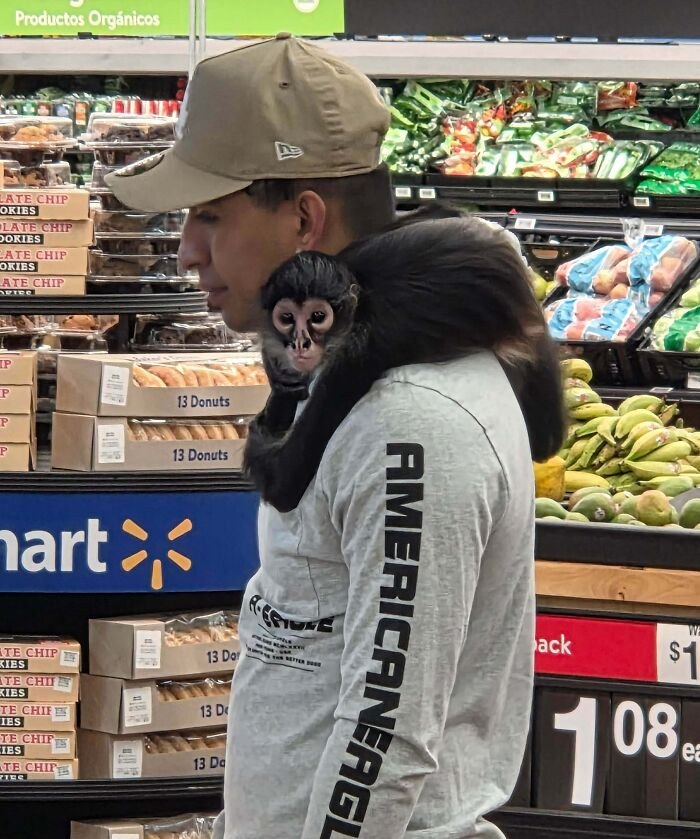 "Service Monkey"