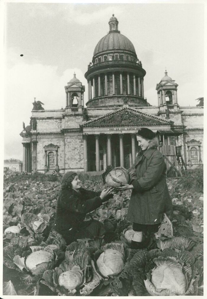 "Cabbage Instead Of Roses At St. Isaac's Square, Autumn 1942"