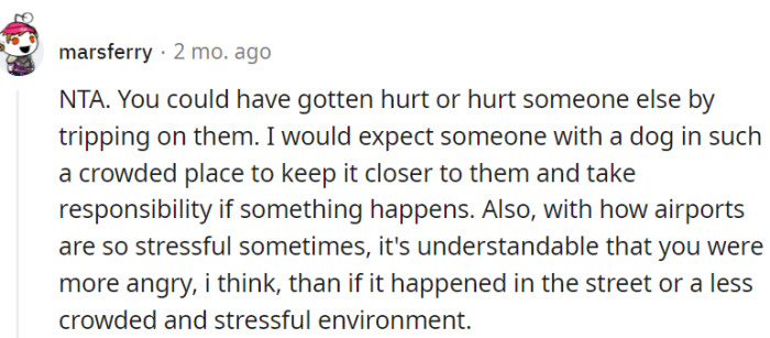Dog Owners Should Keep Their Pets Closer and Take Responsibility in Crowded Places Like Airports.