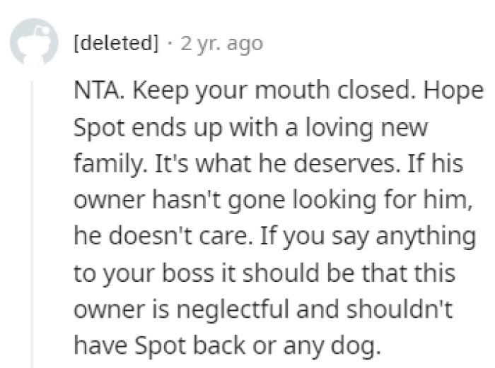 Spot got what every dog deserves