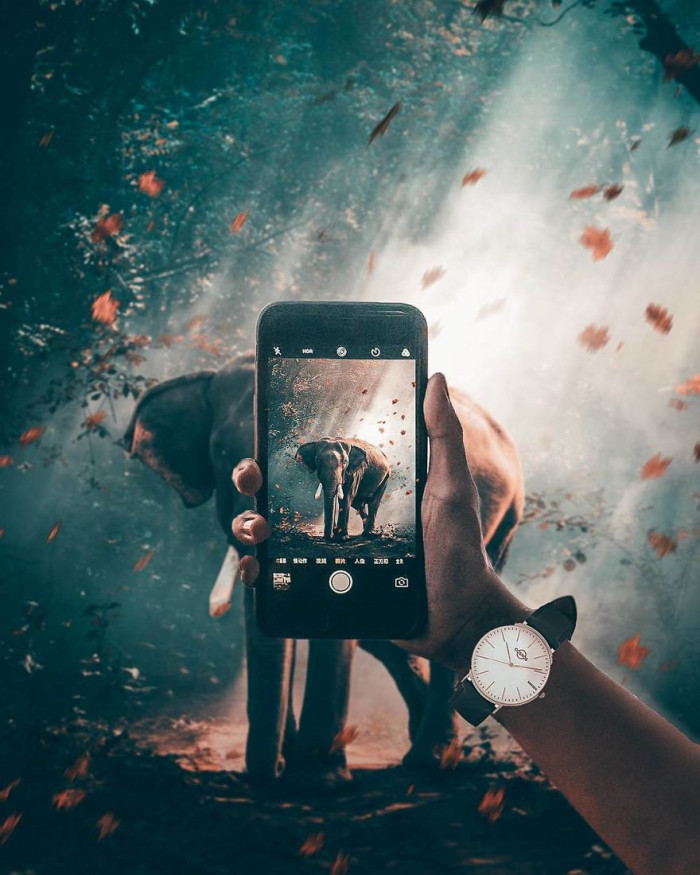 25. Just take the picture and maybe... run