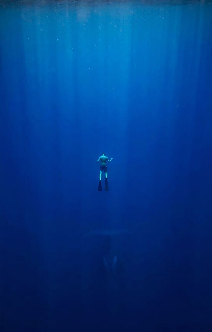 "There Is Something Big Down There... I Can See Its Shadow"
