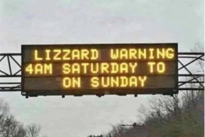 30. Lizzard Warning