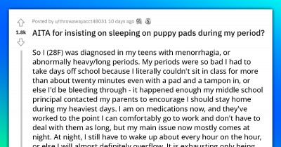 Redditors Support Lady Who Uses Puppy Pads During Her Cycle, But Her Boyfriend Prefers Hysterectomy