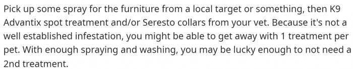 This person gives them lots of advice on the fleas and what to do.
