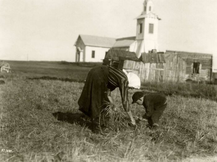 A Poor Woman And Child Gleaning (Picking Up The Crops Left Behind After Harvest). Pajala, Sweden In 1918