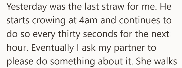 Sleep finally gives way to frustration when the noise turns into a relentless early-morning routine.