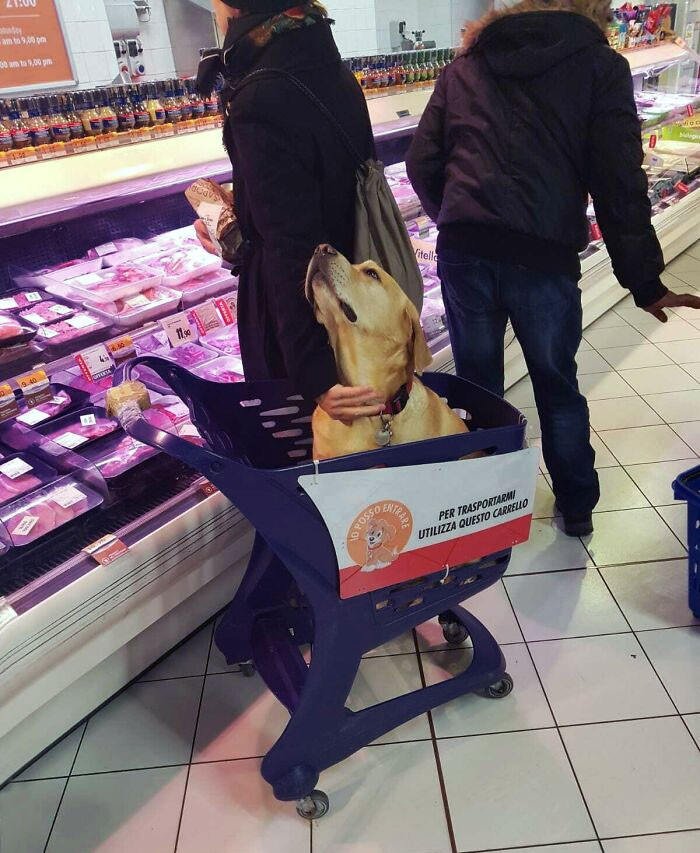 30. In Italy, grocery stores have taken grocery shopping to a whole new level of fun by offering