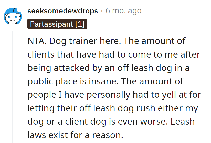 Dog trainer life: more off-leash drama than a soap opera. Leash laws are the real MVPs.