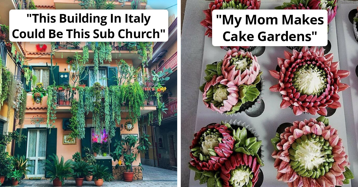 Explore 50 Fascinating Photos From This Online Gardening Community