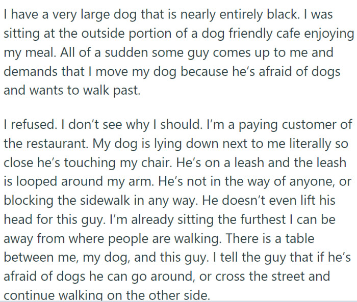 Woman found herself in a predicament while dining at a dog-friendly café with her well-behaved large dog, leashed and lying quietly by her side.