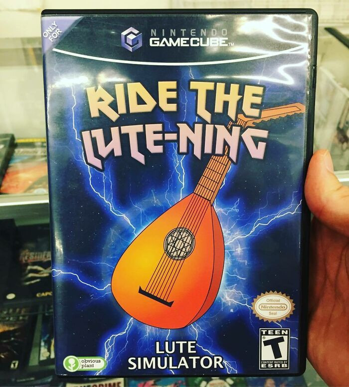 10. Lute simulator