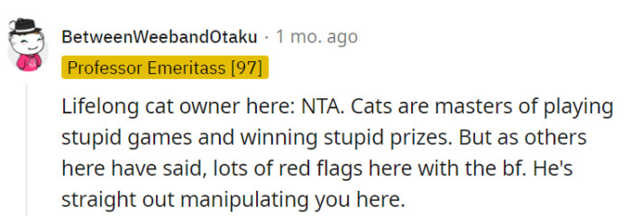 Cats play, they pay.