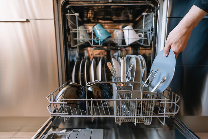 "I put my dirty plate in the freezer instead of the dishwasher."