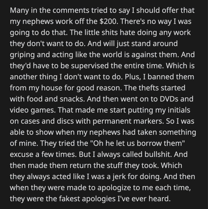 This isn't the first time his nephews broke into OP's property and stole from him. They are, apparently, already banned from his house and are the reason why he installed security cameras.