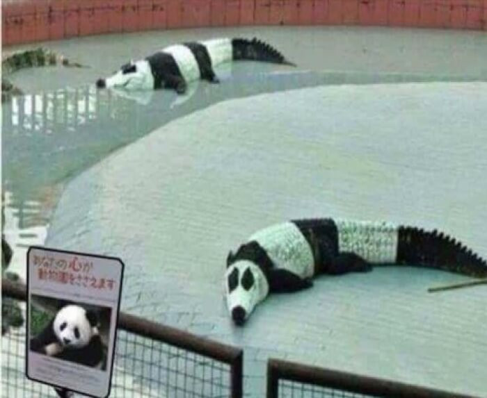 29. Panda crocodiles?