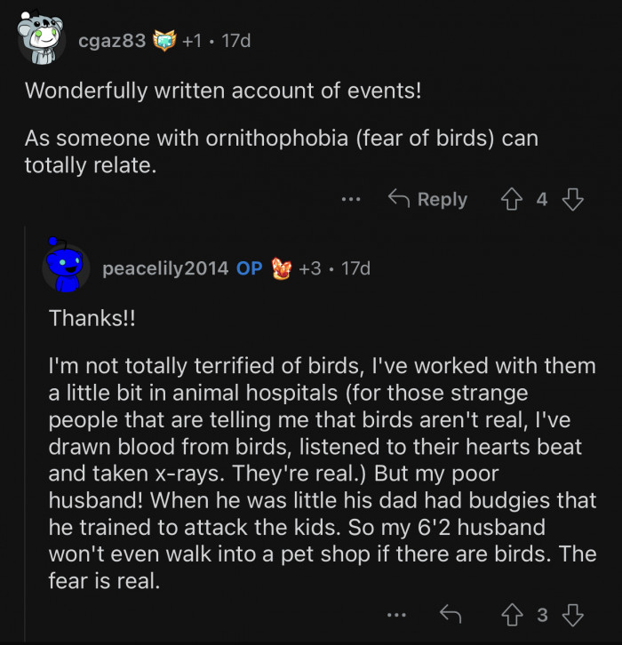 OP's husband won't even visit a pet shop if it has birds.