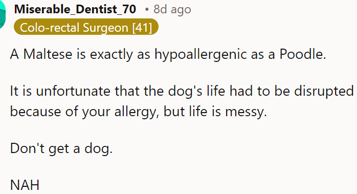 She shouldn't get a dog.