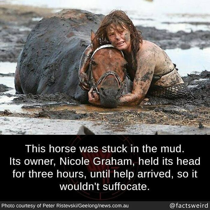 53. A woman held her horse's head for 3 hours waiting for help