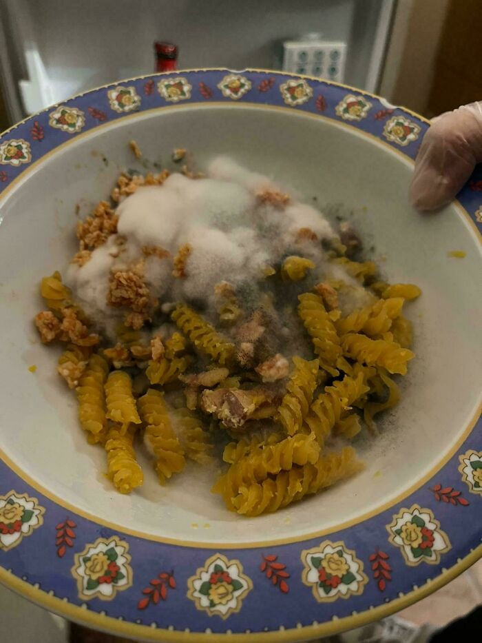 "My Roommate Forgot A Plate Of Pasta In The Fridge"