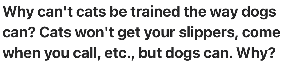 An Interesting Conversation for Pet Parents