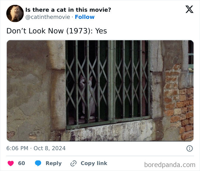 Don't Look Now