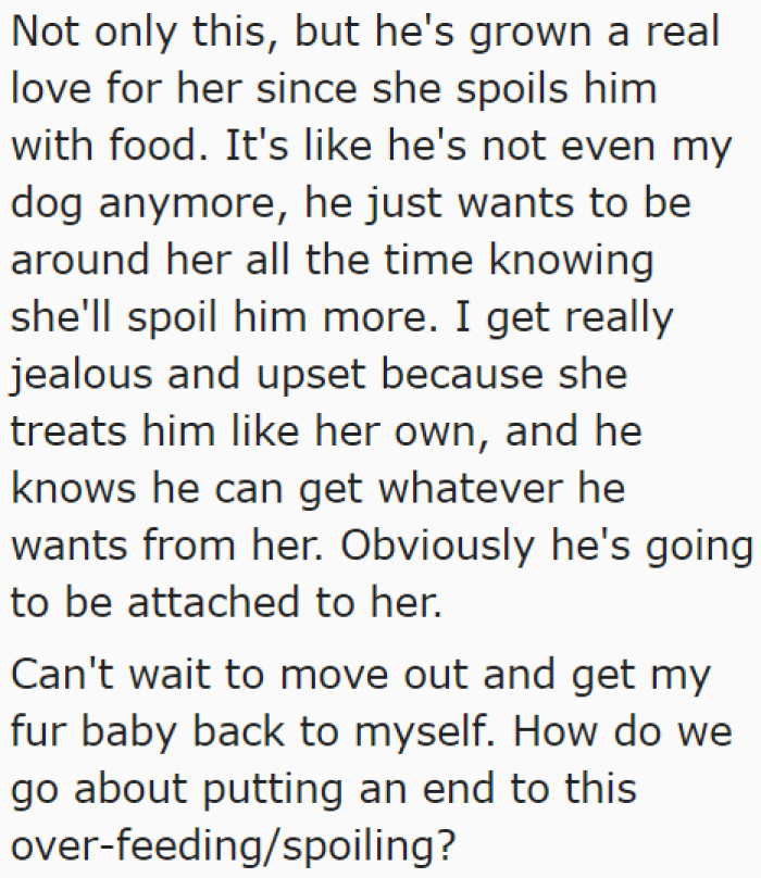 The Dog No Longer Behaves Like It's Theirs. It Has Grown Completely Attached to the Mother-in-Law.