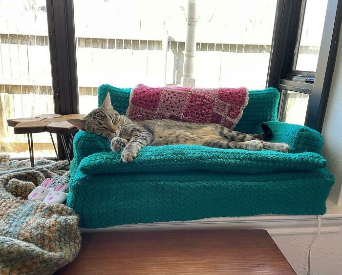 6. I Crocheted And Made This Heated Cat Couch, And I'm Working On A 2nd To Have A Matching Set. Hi! Meet Ripley :)