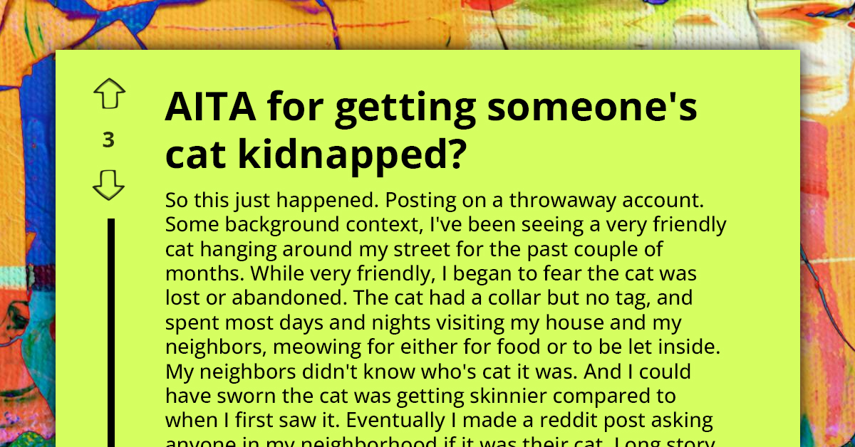 Man Accused Of Kidnapping While Trying To Return Missing Cat