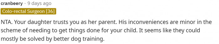 Since it seems that the dogs are mostly the problem, then that's the solution that needs to be found.