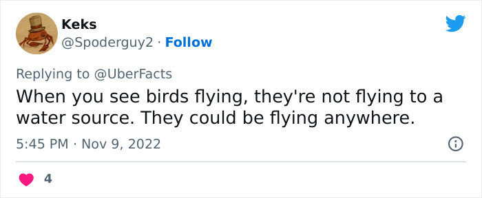 I've also never heard this before because birds fly for transportation, so I figured it was self-explanatory that they could be going anywhere.