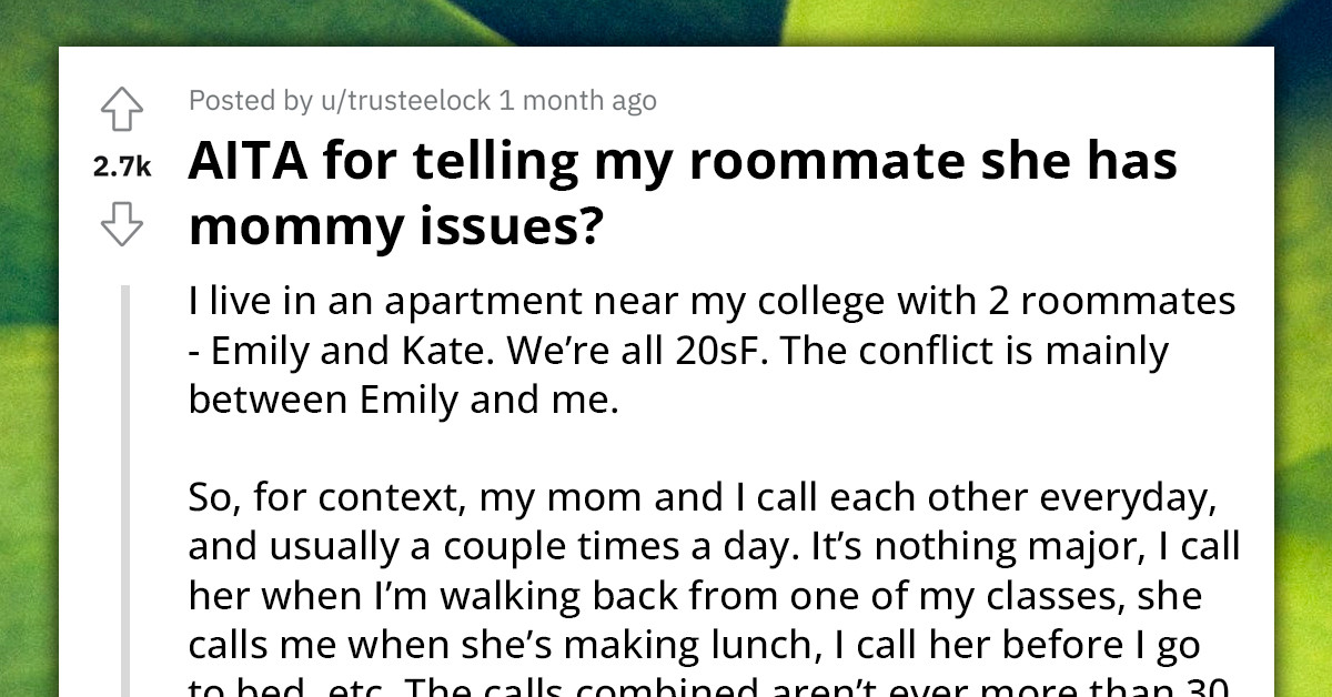 Living Situation Gets Tense After Woman Accuses Her Roommate Of Having "Mommy Issues"
