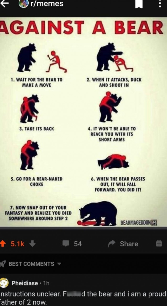 9. Against A Bear