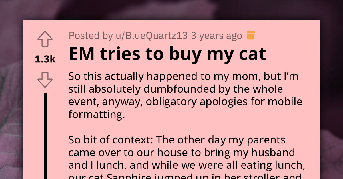 Devoted Pet Parent Turns Down Blank Cheque For Her Precious Cat, Hammers That Even Jeff Bezos Can’t Convince Her To Sell