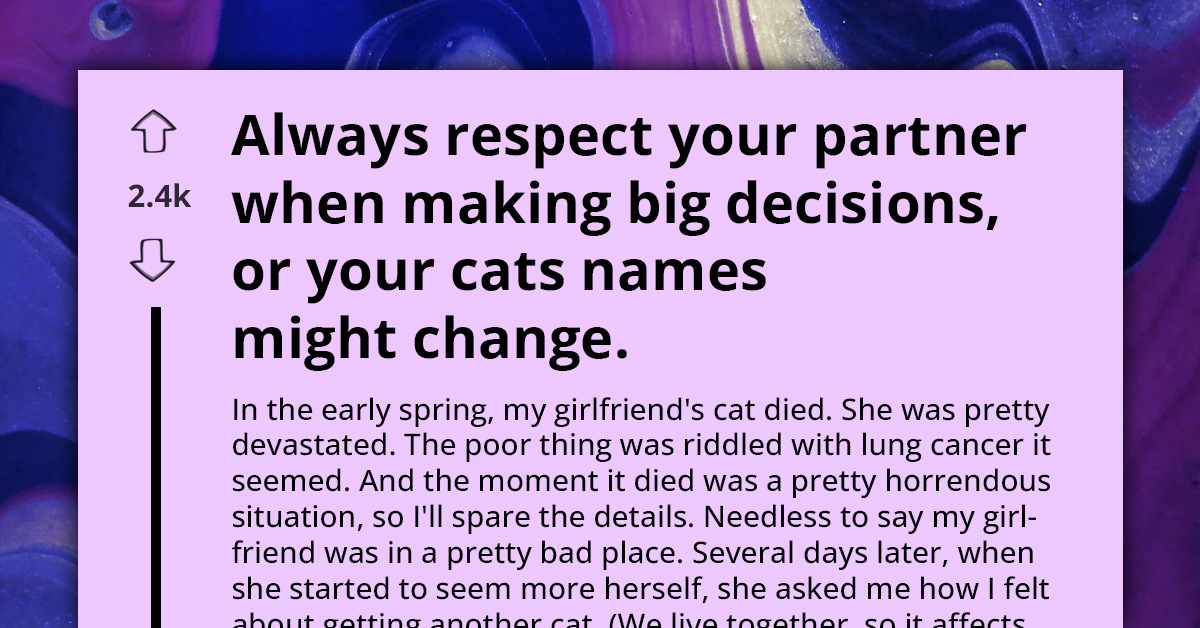 Girlfriend Blindsides Redditor With Surprise Cat Adoption, And They Strike Back By Giving Kitties Most Outrageous Names Ever