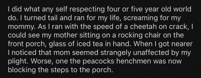 OP ran for her life and tried to get as far away as possible from the peacock.