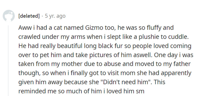 Gizmo disappeared like a feline magician, but cats always leave a paw-sitive mark, no matter where they roam!